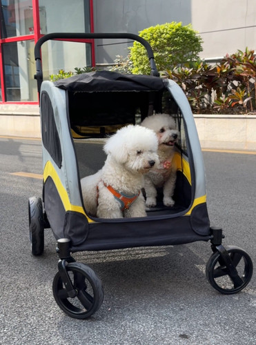 Xxl double seat dog - seat, stroller